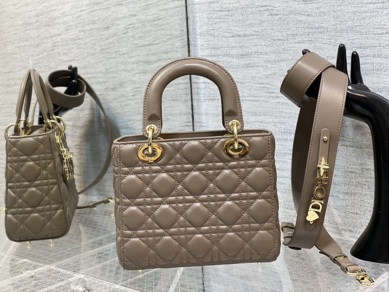 Dior Handbags AAA(Women)-667