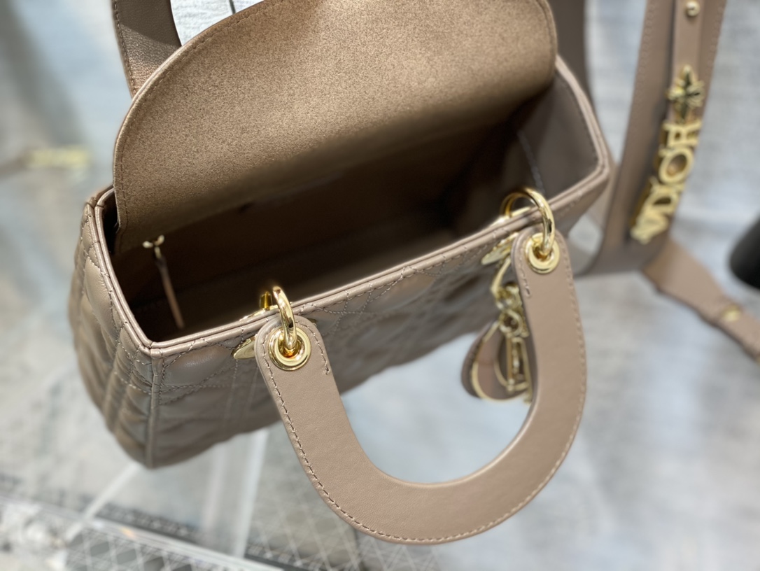 Dior Handbags AAA(Women)-667