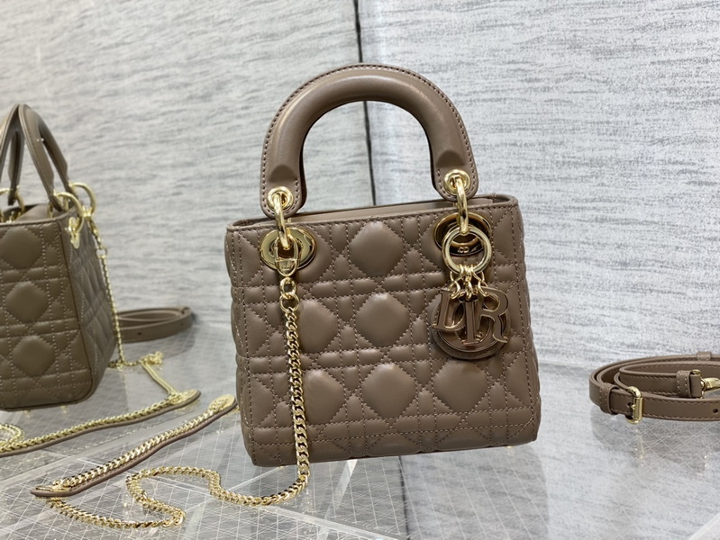 Dior Handbags AAA(Women)-668
