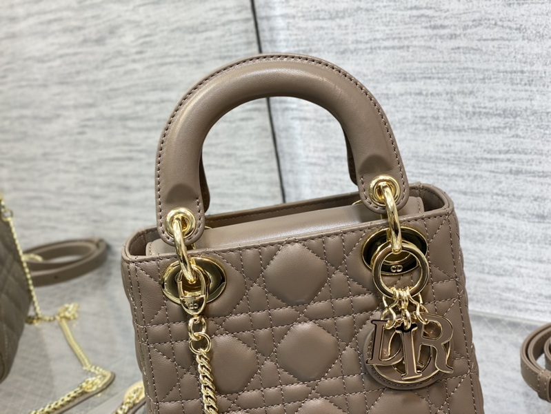 Dior Handbags AAA(Women)-668