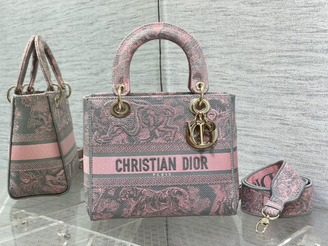 Dior Handbags AAA(Women)-669
