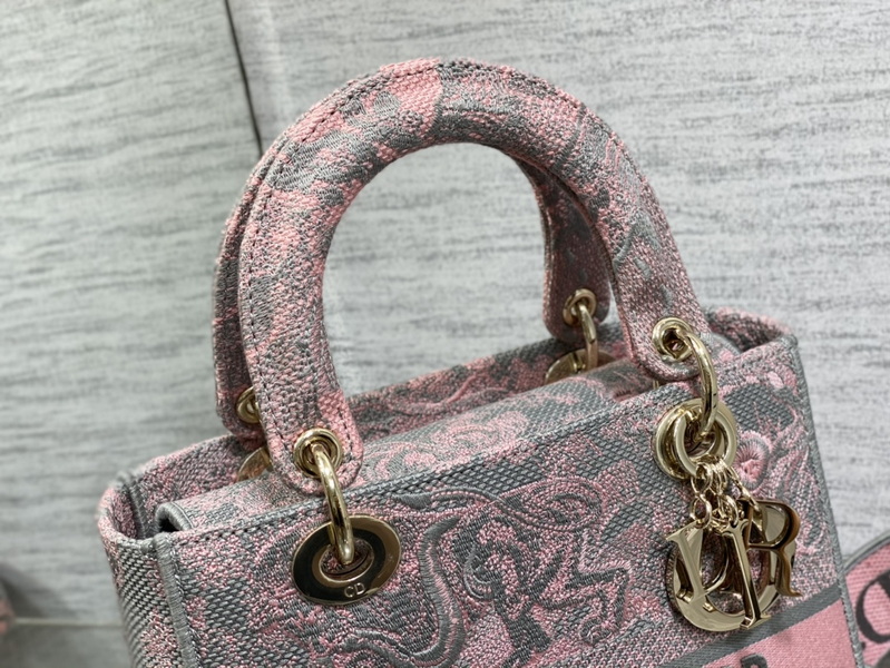 Dior Handbags AAA(Women)-669