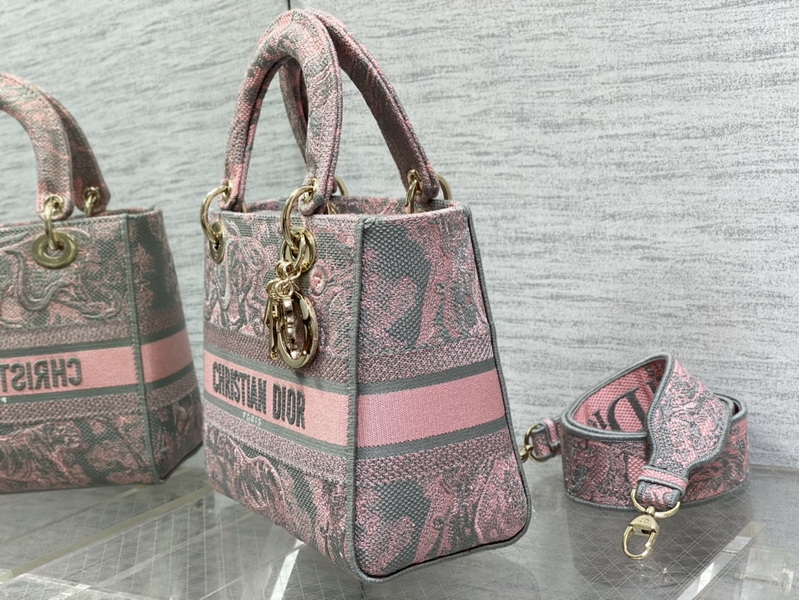 Dior Handbags AAA(Women)-669