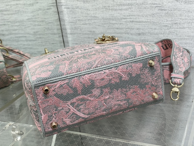 Dior Handbags AAA(Women)-669