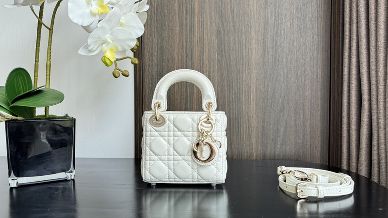 Dior Handbags AAA(Women)-671