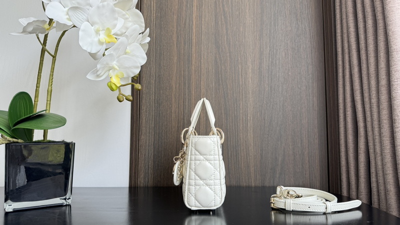 Dior Handbags AAA(Women)-671