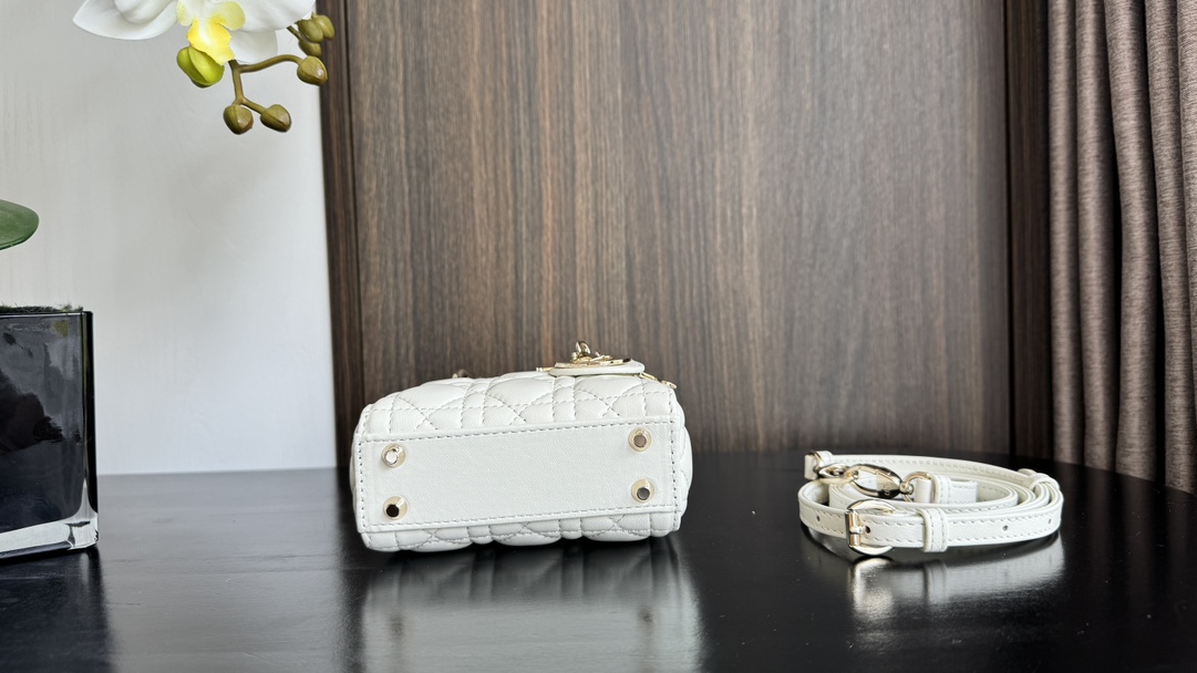 Dior Handbags AAA(Women)-671