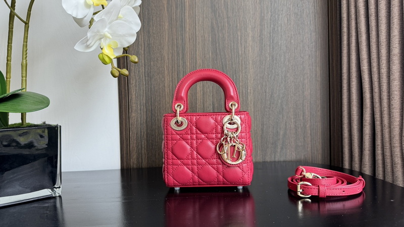 Dior Handbags AAA(Women)-673