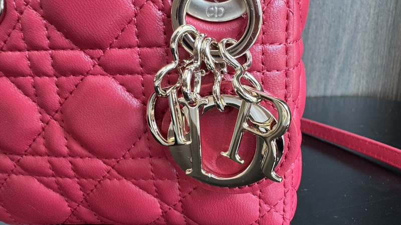 Dior Handbags AAA(Women)-673