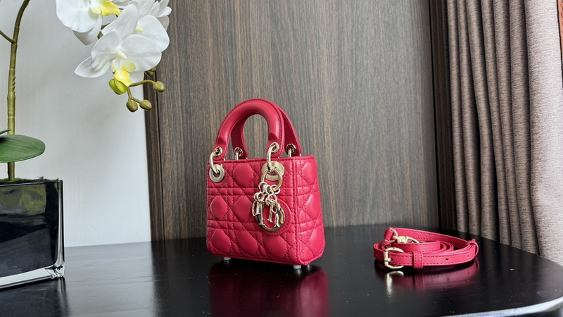Dior Handbags AAA(Women)-673