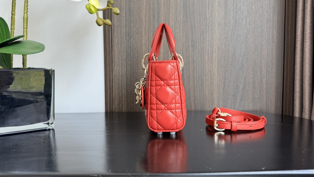 Dior Handbags AAA(Women)-673