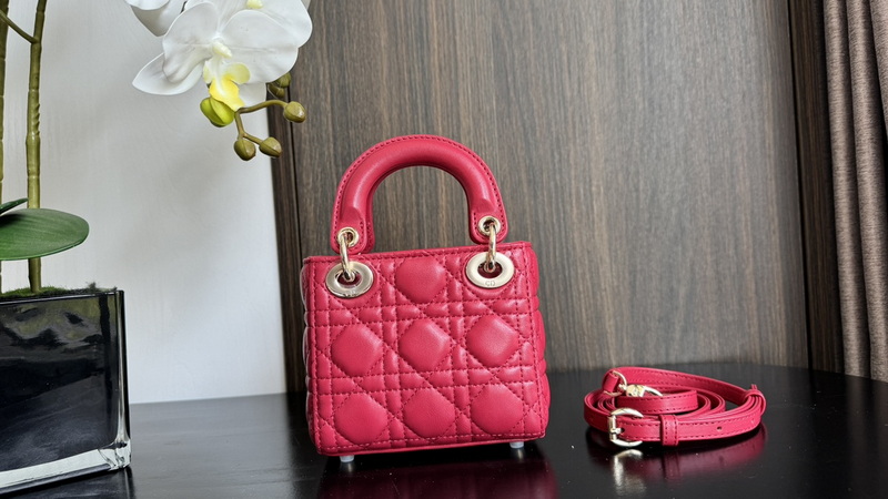 Dior Handbags AAA(Women)-673