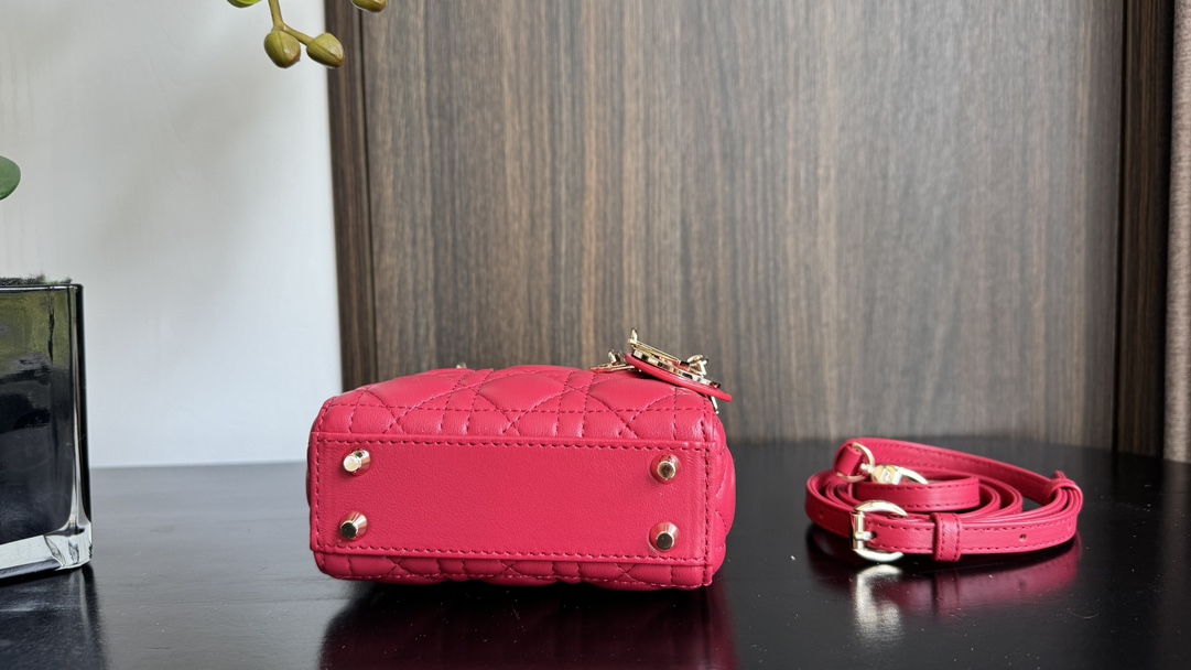 Dior Handbags AAA(Women)-673
