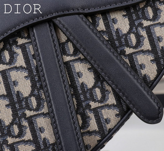 Dior Handbags AAA(Women)-676