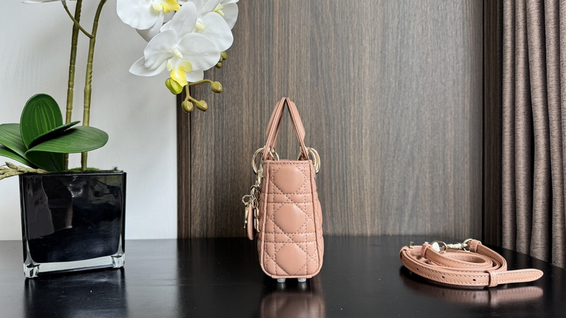 Dior Handbags AAA(Women)-677