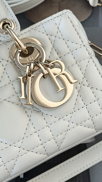 Dior Handbags AAA(Women)-699