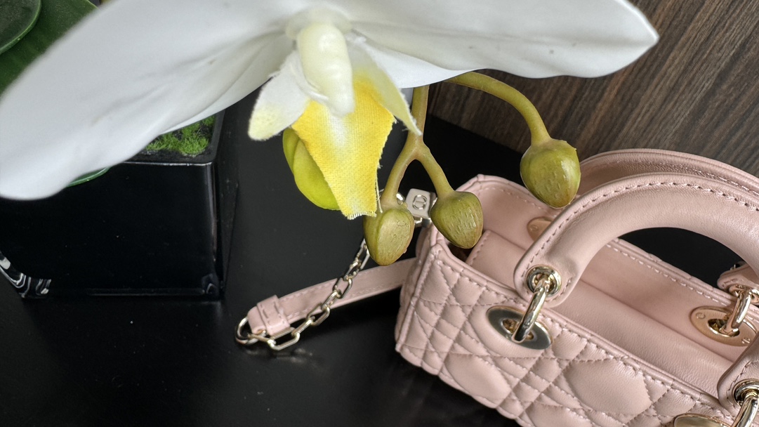 Dior Handbags AAA(Women)-700