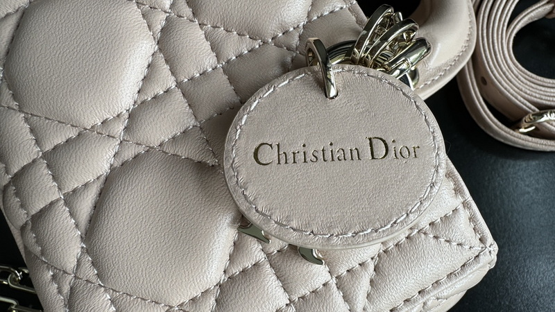 Dior Handbags AAA(Women)-700