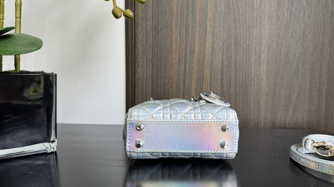 Dior Handbags AAA(Women)-709