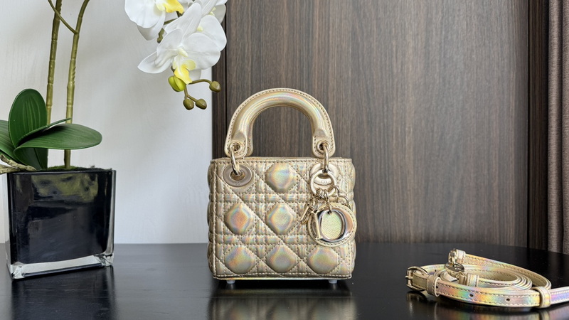 Dior Handbags AAA(Women)-710