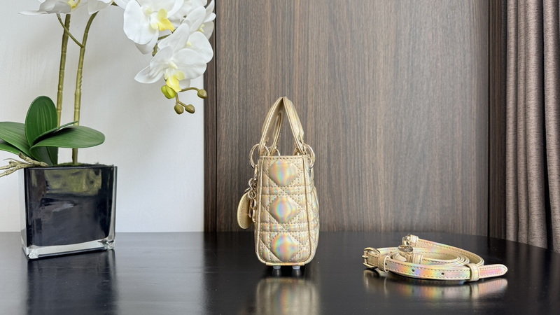 Dior Handbags AAA(Women)-710