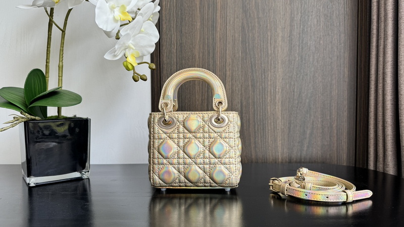 Dior Handbags AAA(Women)-710