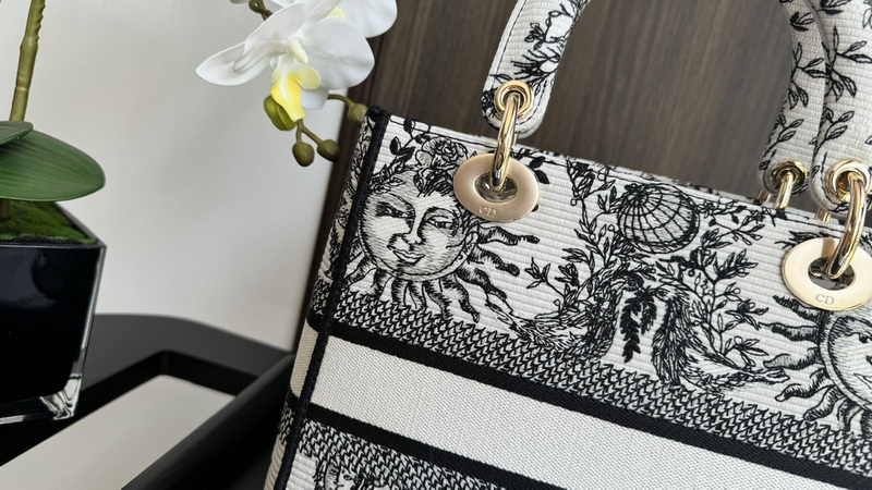 Dior Handbags AAA(Women)-711