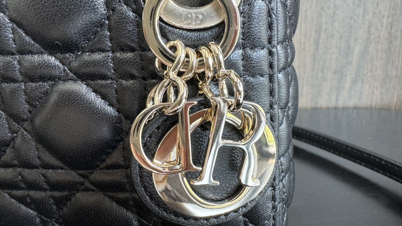 Dior Handbags AAA(Women)-712
