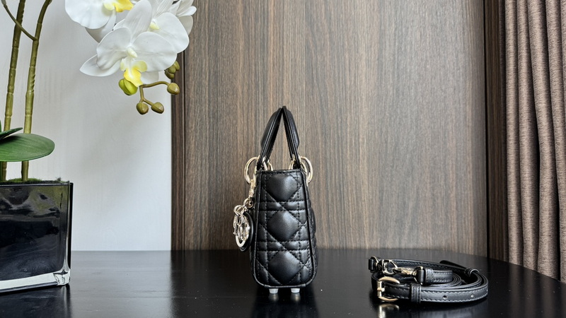 Dior Handbags AAA(Women)-712