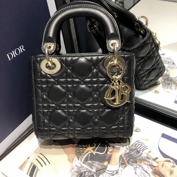 Dior Handbags AAA(Women)-724
