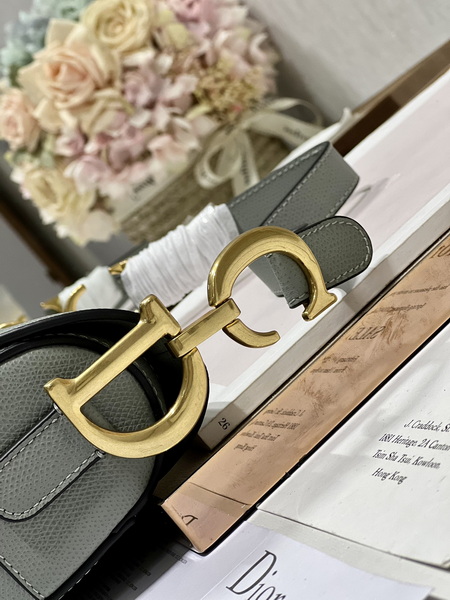 Dior Handbags AAA(Women)-728