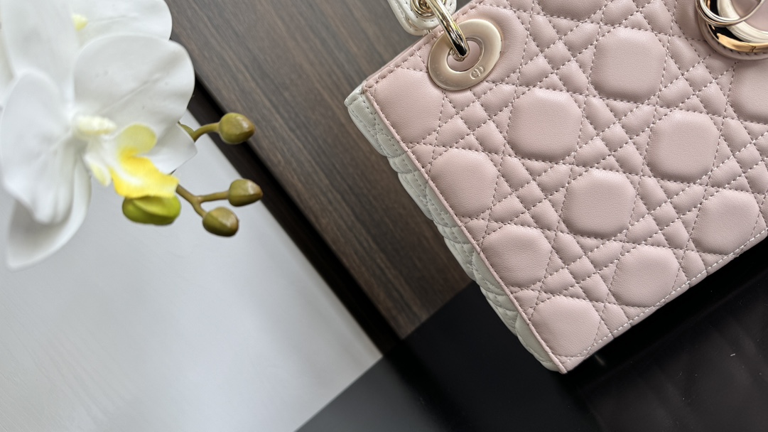 Dior Handbags AAA(Women)-742