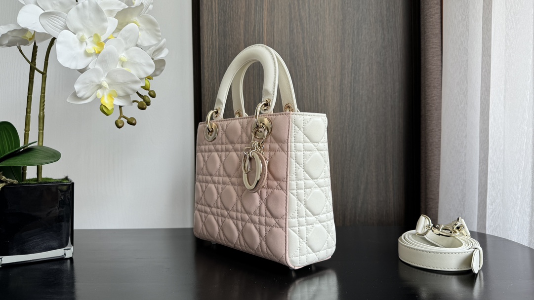 Dior Handbags AAA(Women)-742