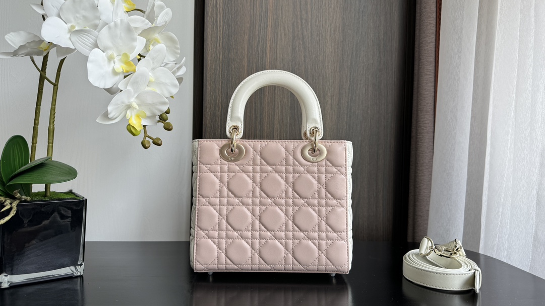 Dior Handbags AAA(Women)-742