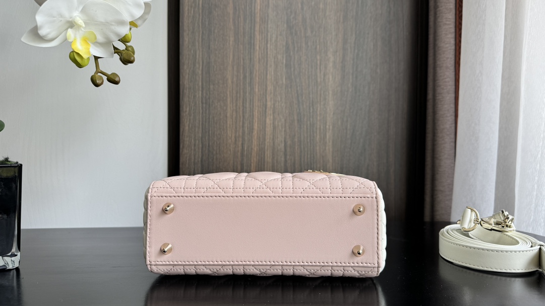 Dior Handbags AAA(Women)-742