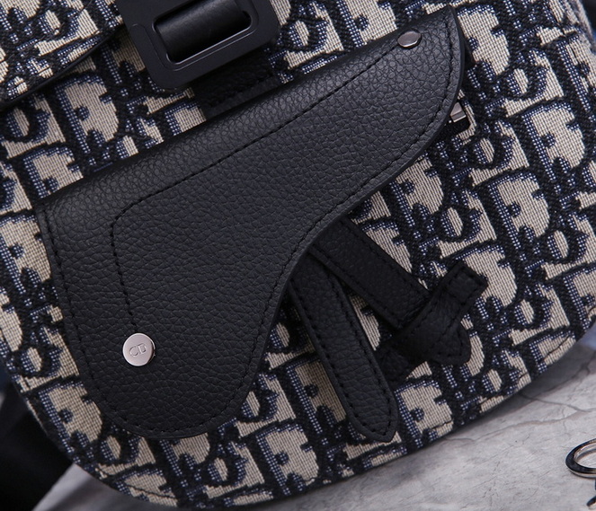 Dior Backpack(AAA)-013