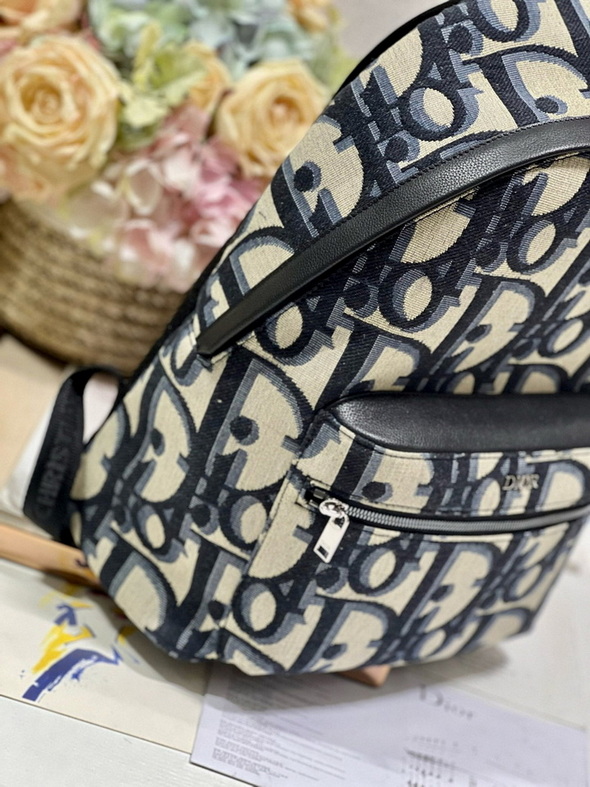 Dior Backpack(AAA)-015