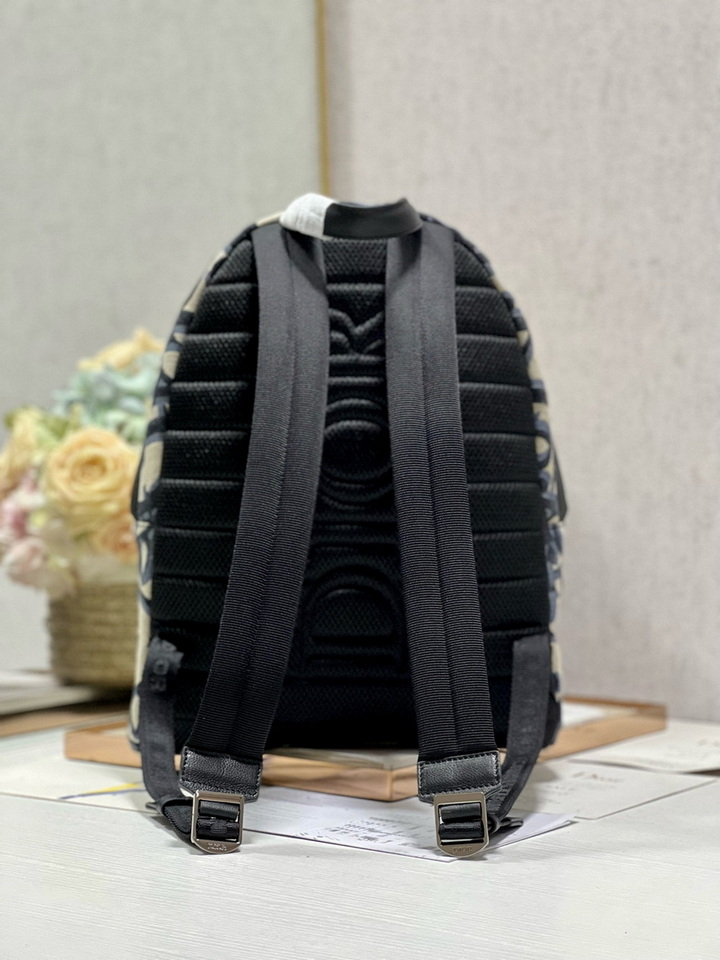 Dior Backpack(AAA)-015