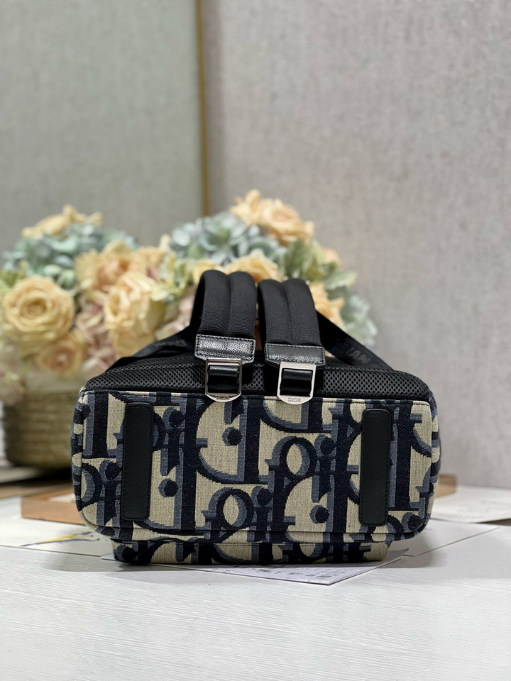 Dior Backpack(AAA)-015