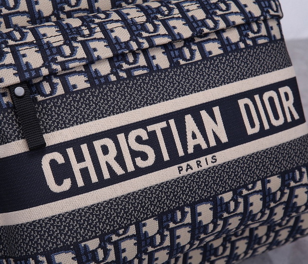 Dior Backpack(AAA)-016