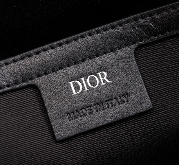 Dior Backpack(AAA)-017