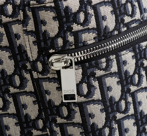 Dior Backpack(AAA)-018