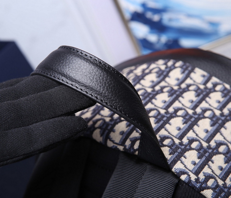 Dior Backpack(AAA)-019