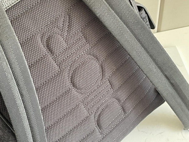 Dior Backpack(AAA)-021