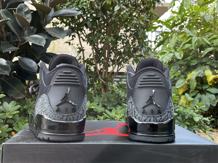Air Jordan 3 Black Cat