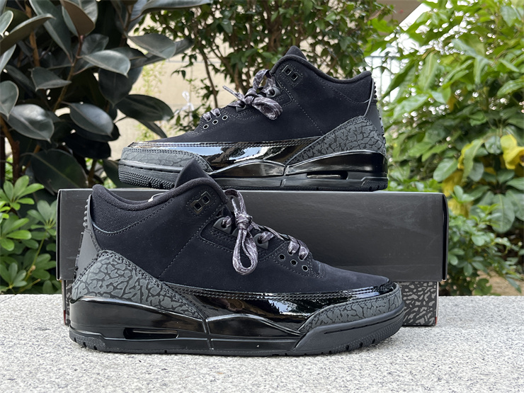 Air Jordan 3 Black Cat