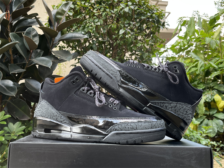 Air Jordan 3 Black Cat
