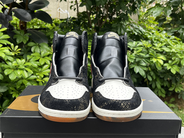 Air Jordan 1 High OG-317