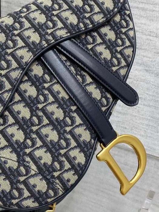 Dior Handbags AAAA(Women)-116